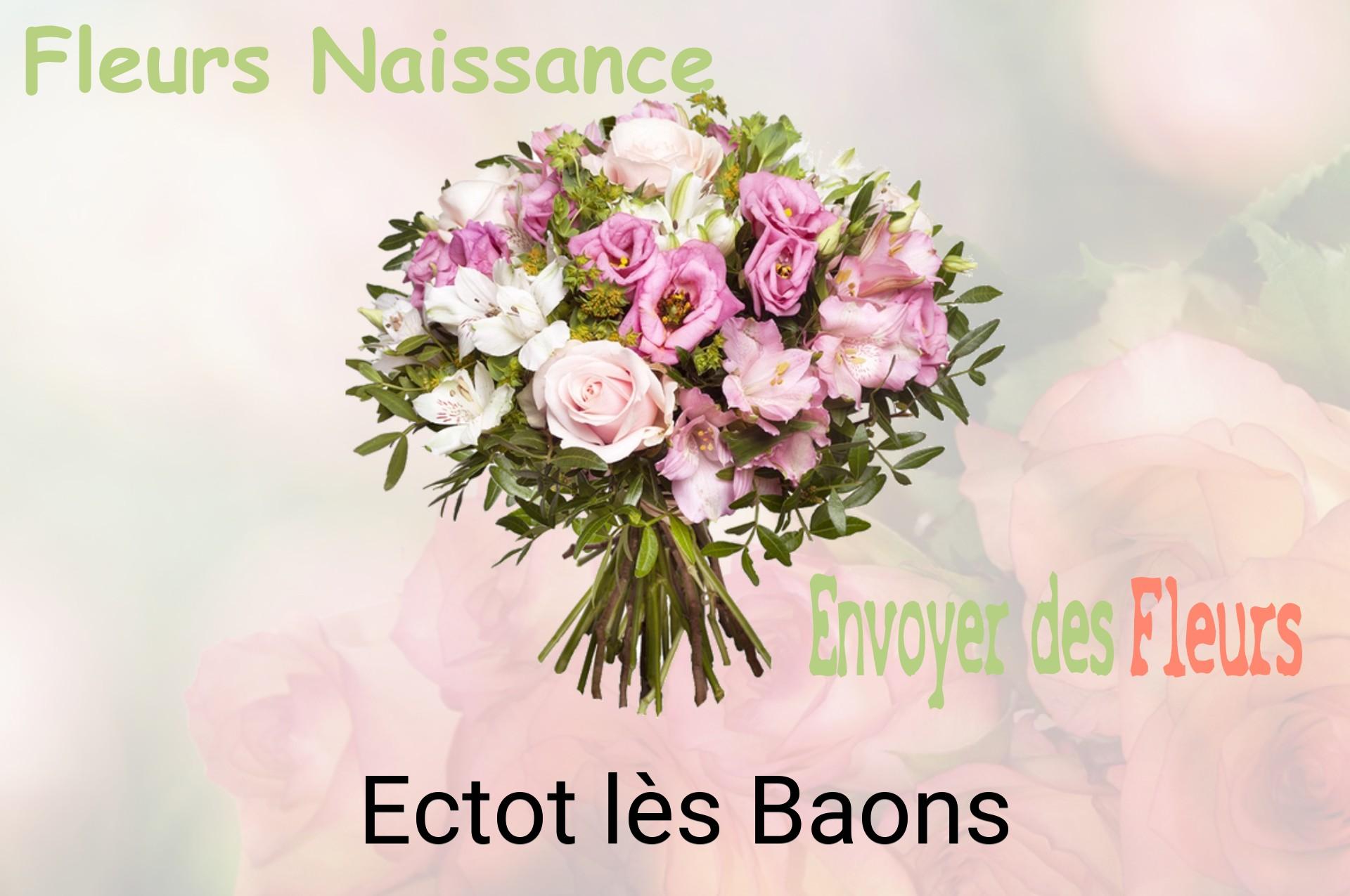 Bouquet de fleurs de naissance livré à Ectot-lès-Baons